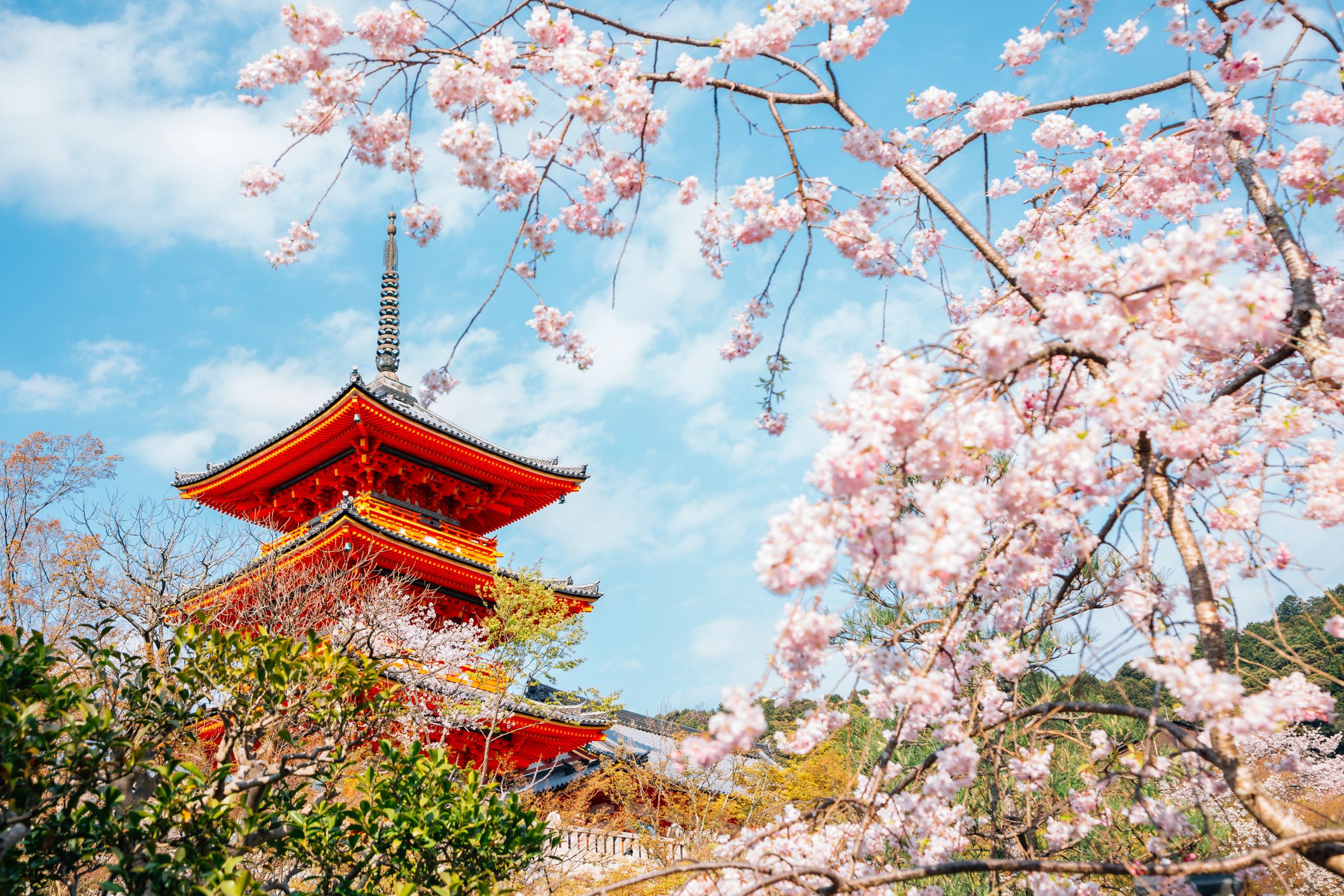 與眾不同的體驗：選對日本打工度假 工作，讓旅程更加豐富